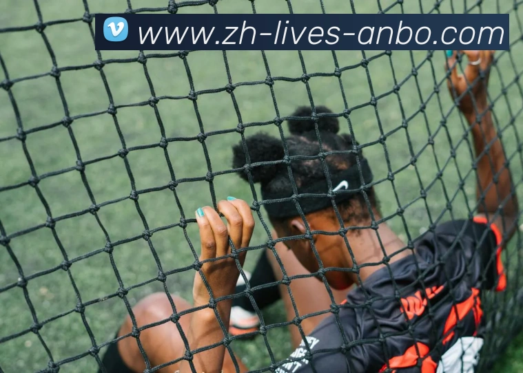 安博体育APP 体育赛事宣传图